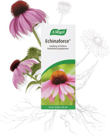 A. Vogel Echinaforce | 50 ml - Naturligtsunde