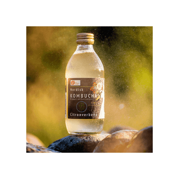 Nordisk Kombucha (Flere varianter) - Naturligtsunde